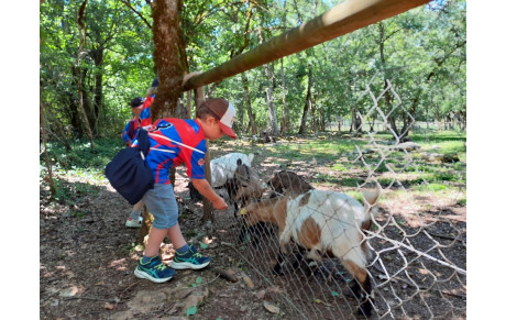 Sortie au Parc Animalier pour les U6-U8 et U10